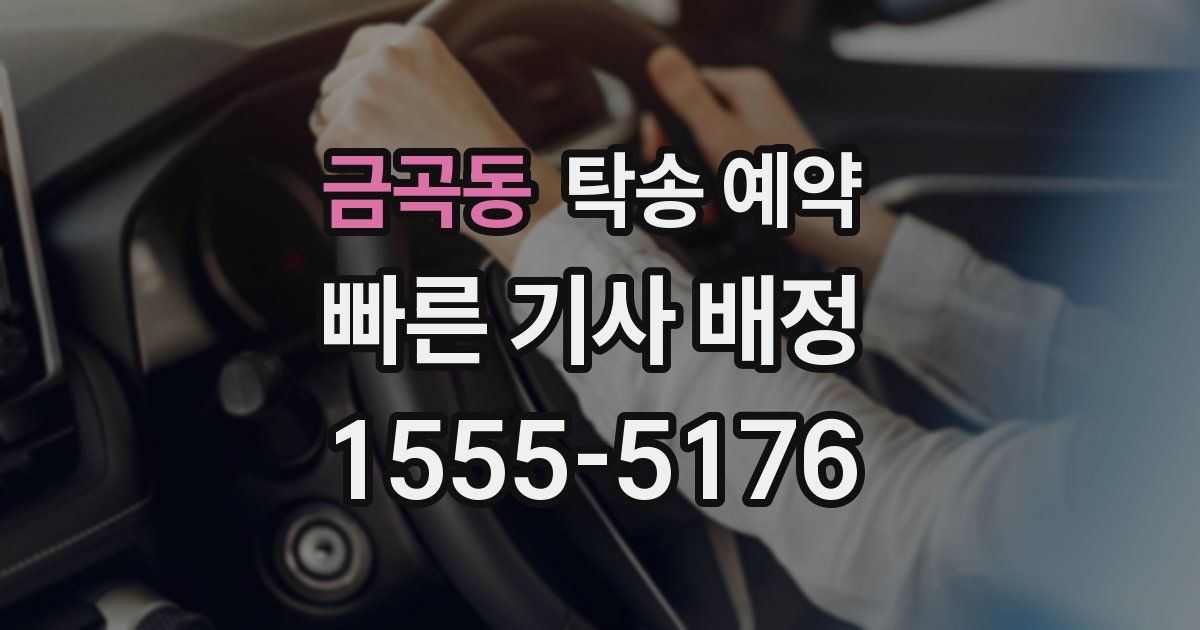 금곡동 탁송 예약
