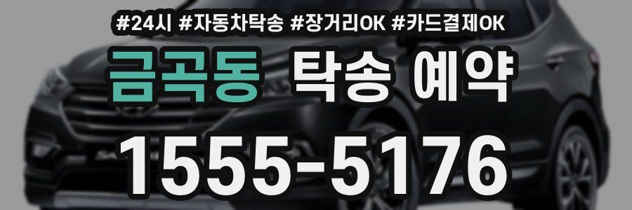 금곡동 탁송 예약