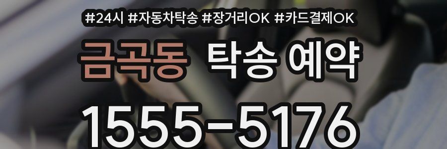 금곡동 탁송 예약