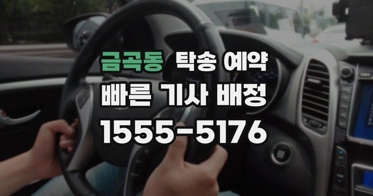 금곡동 탁송 예약