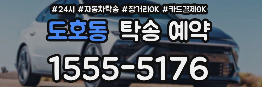 도호동 탁송 예약