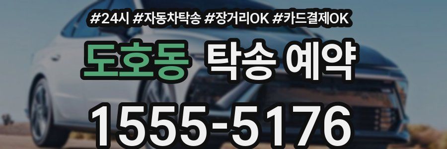도호동 탁송 예약