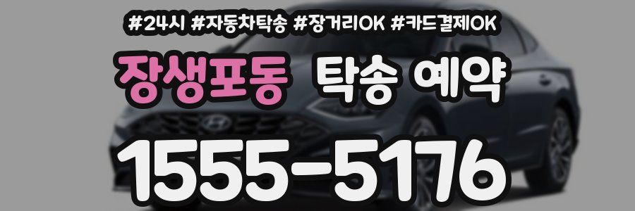 장생포동 탁송 예약