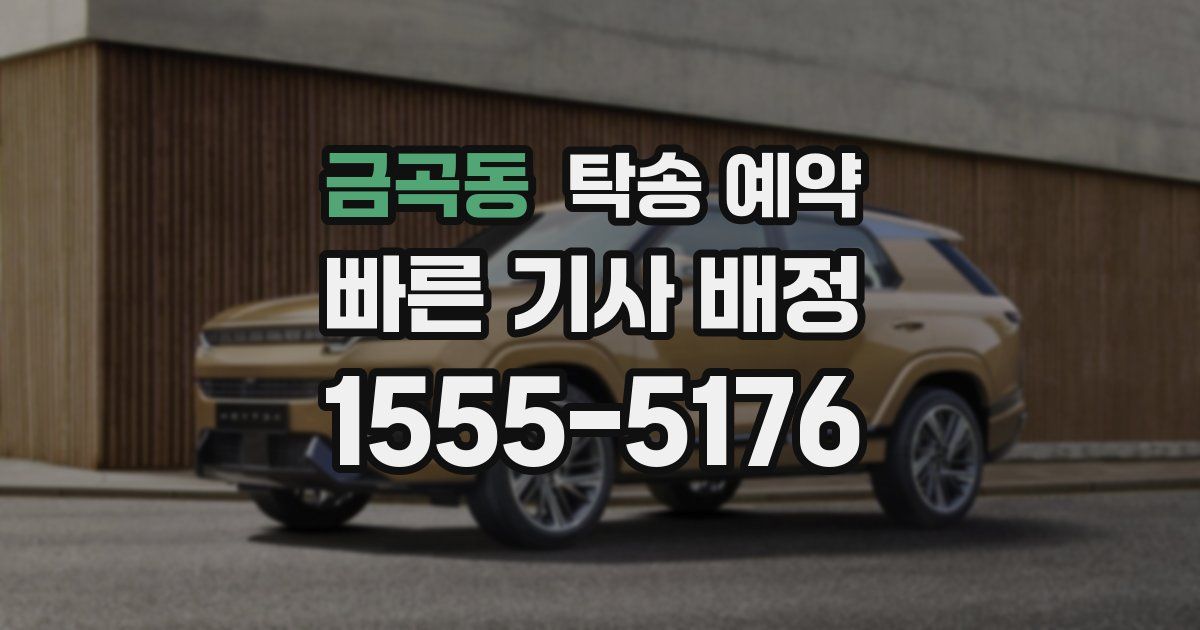 금곡동 탁송 예약