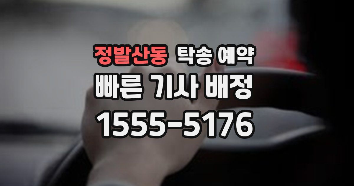 정발산동 탁송 예약