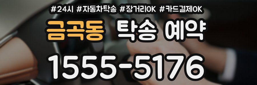 금곡동 탁송 예약