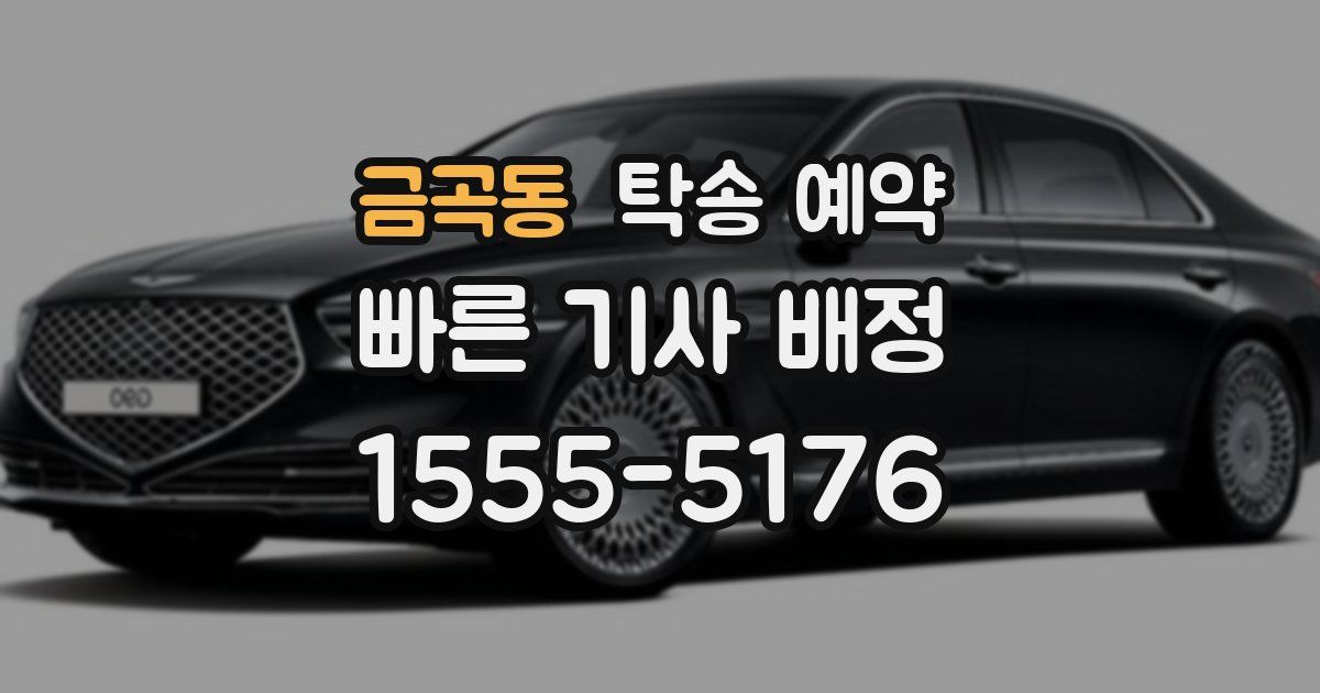 금곡동 탁송 예약