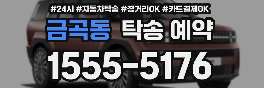 금곡동 탁송 예약
