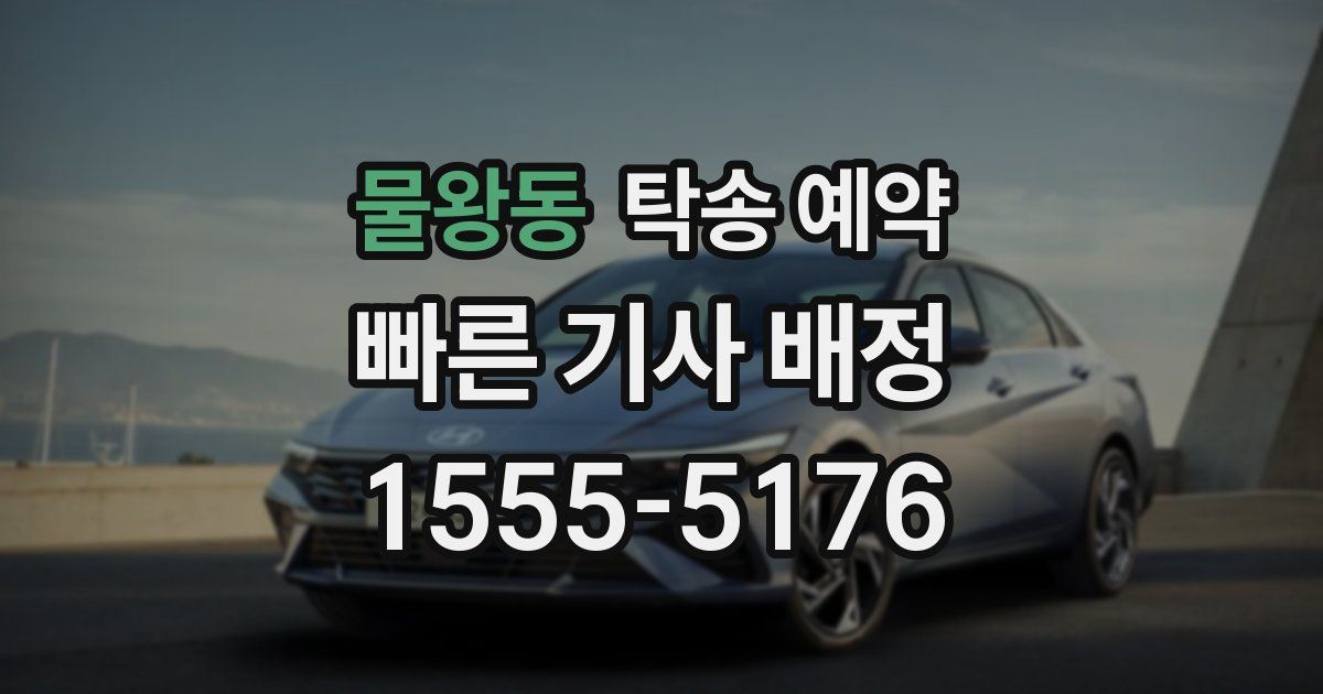 물왕동 탁송 예약