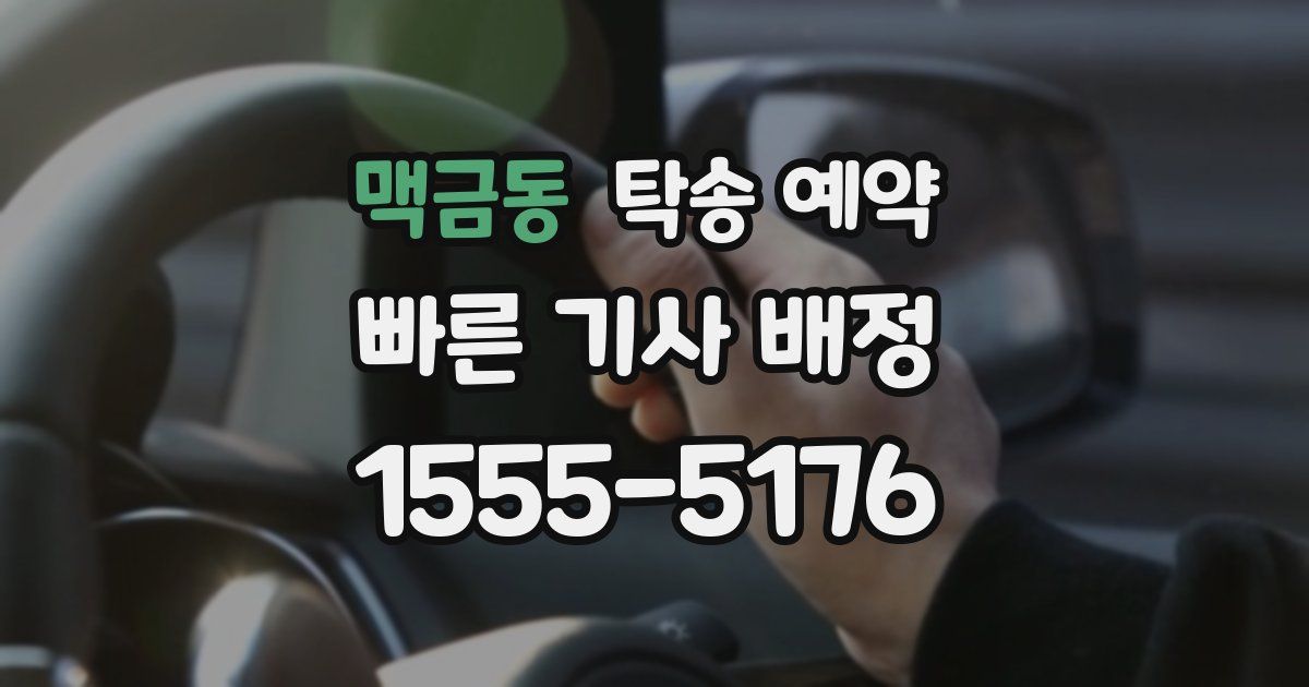 맥금동 탁송 예약