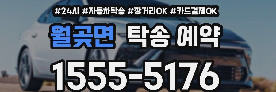 월곶면 탁송 예약