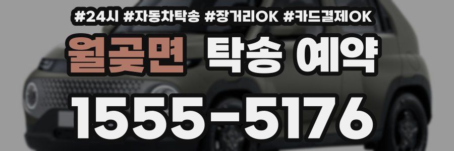 월곶면 탁송 예약