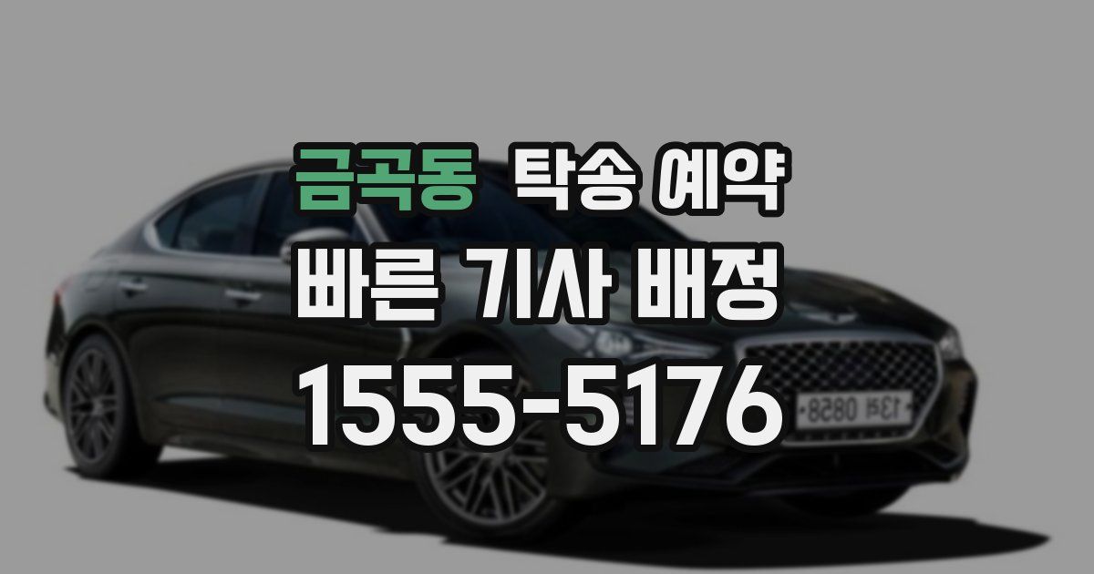 금곡동 탁송 예약