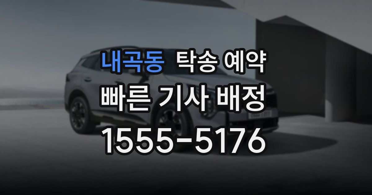 내곡동 탁송 예약