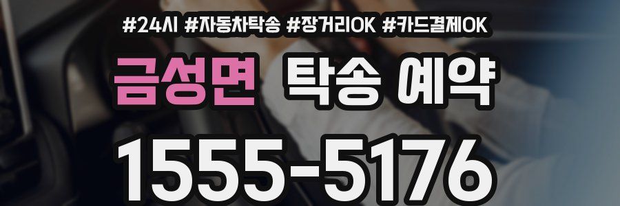금성면 탁송 예약