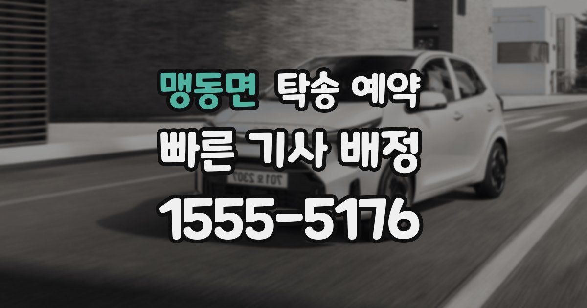 맹동면 탁송 예약
