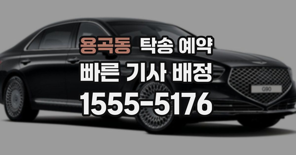 용곡동 탁송 예약
