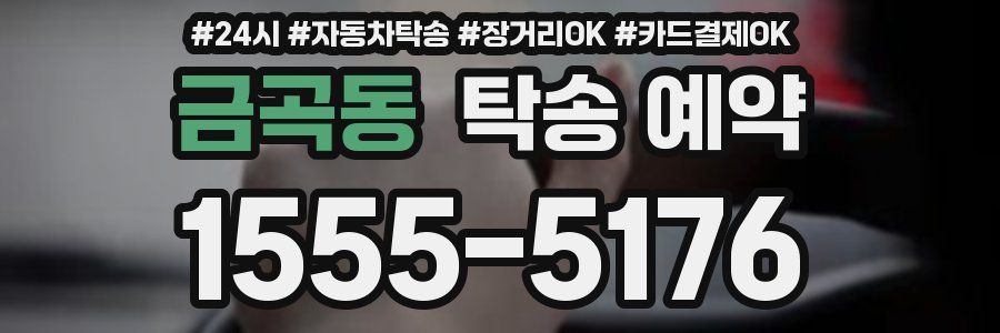 금곡동 탁송 예약