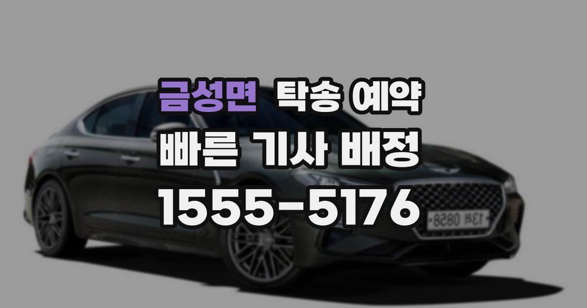 금성면 탁송 예약