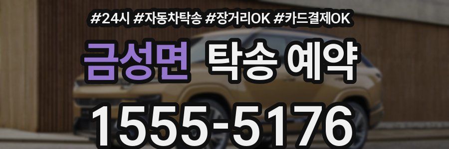 금성면 탁송 예약