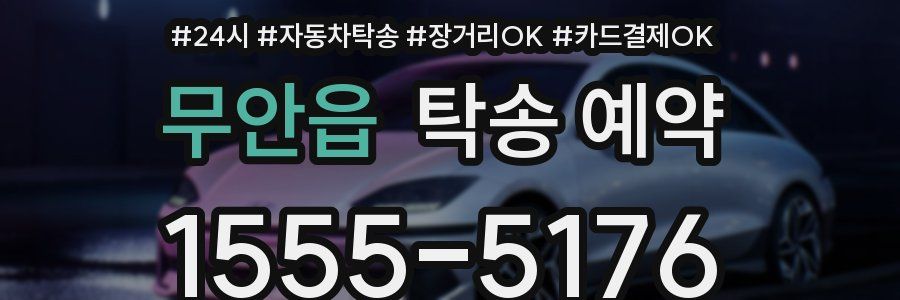 무안읍 탁송 예약