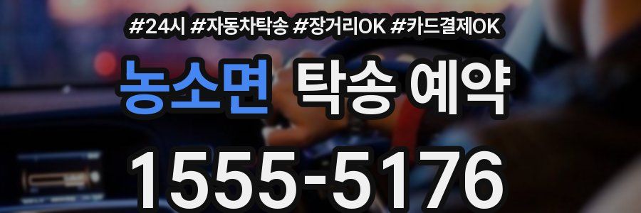 농소면 탁송 예약