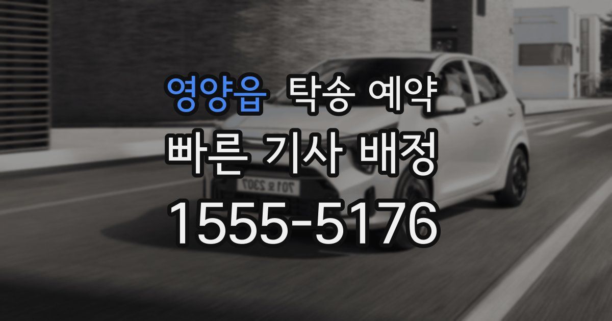 영양읍 탁송 예약