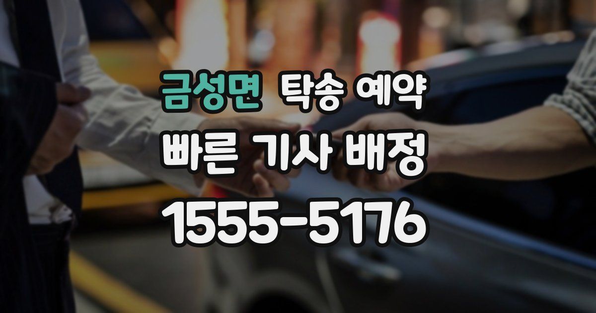 금성면 탁송 예약