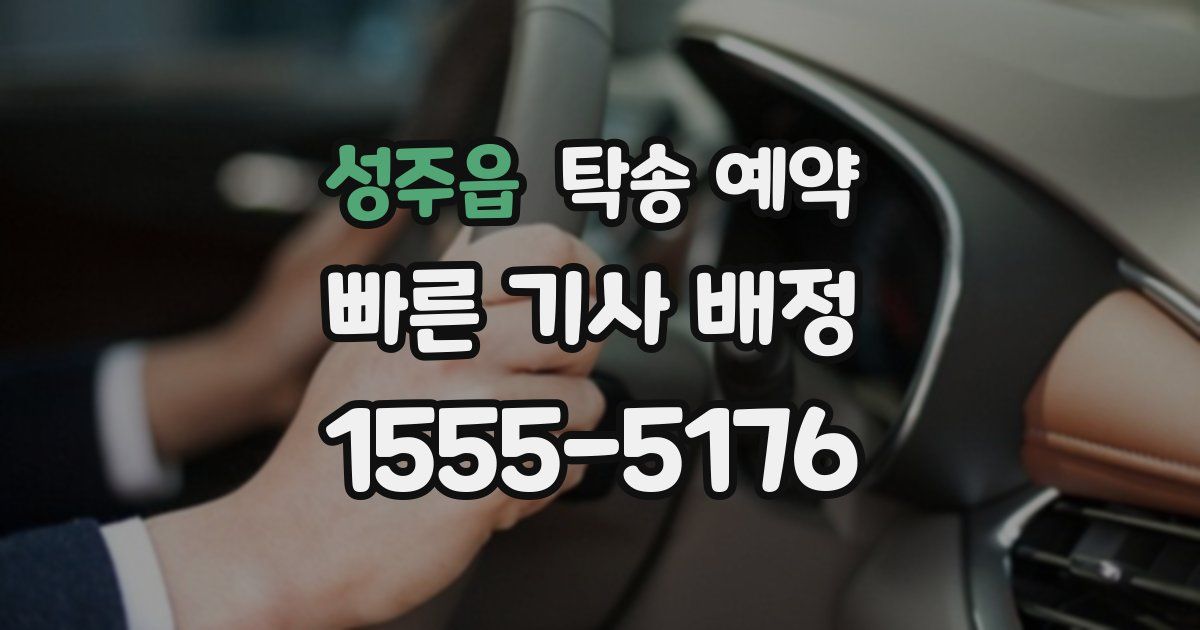 성주읍 탁송 예약