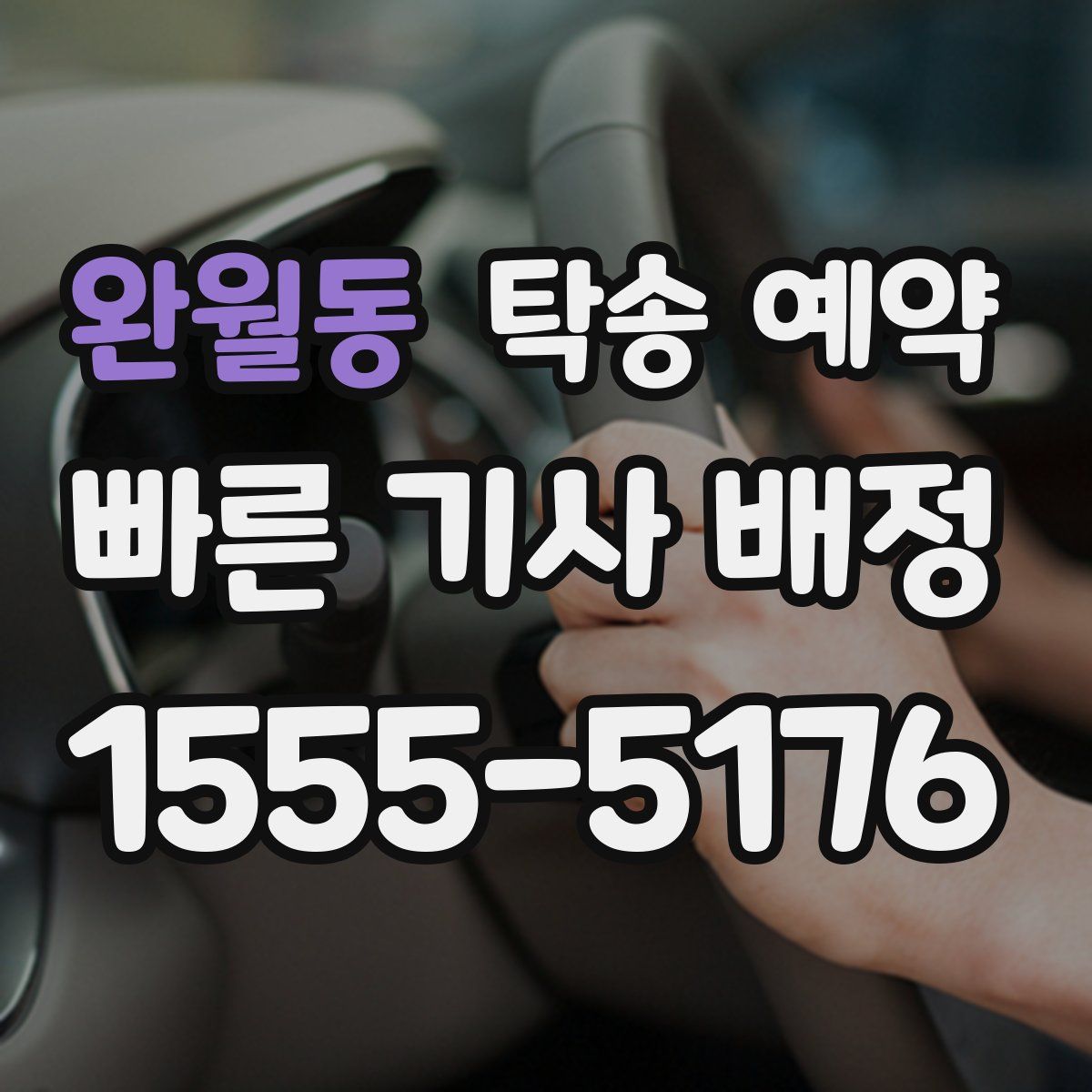 완월동 탁송 예약