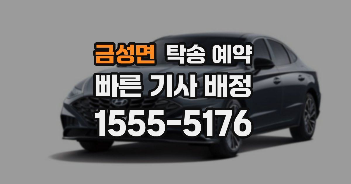 금성면 탁송 예약