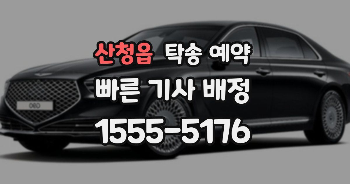 산청읍 탁송 예약