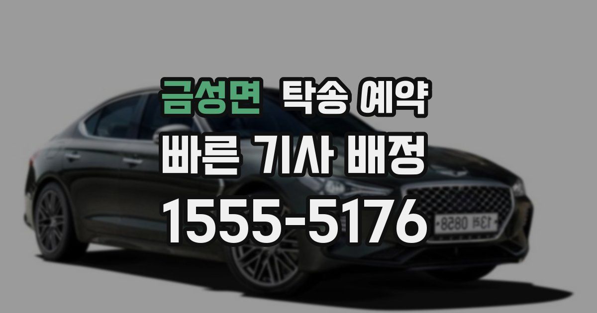 금성면 탁송 예약