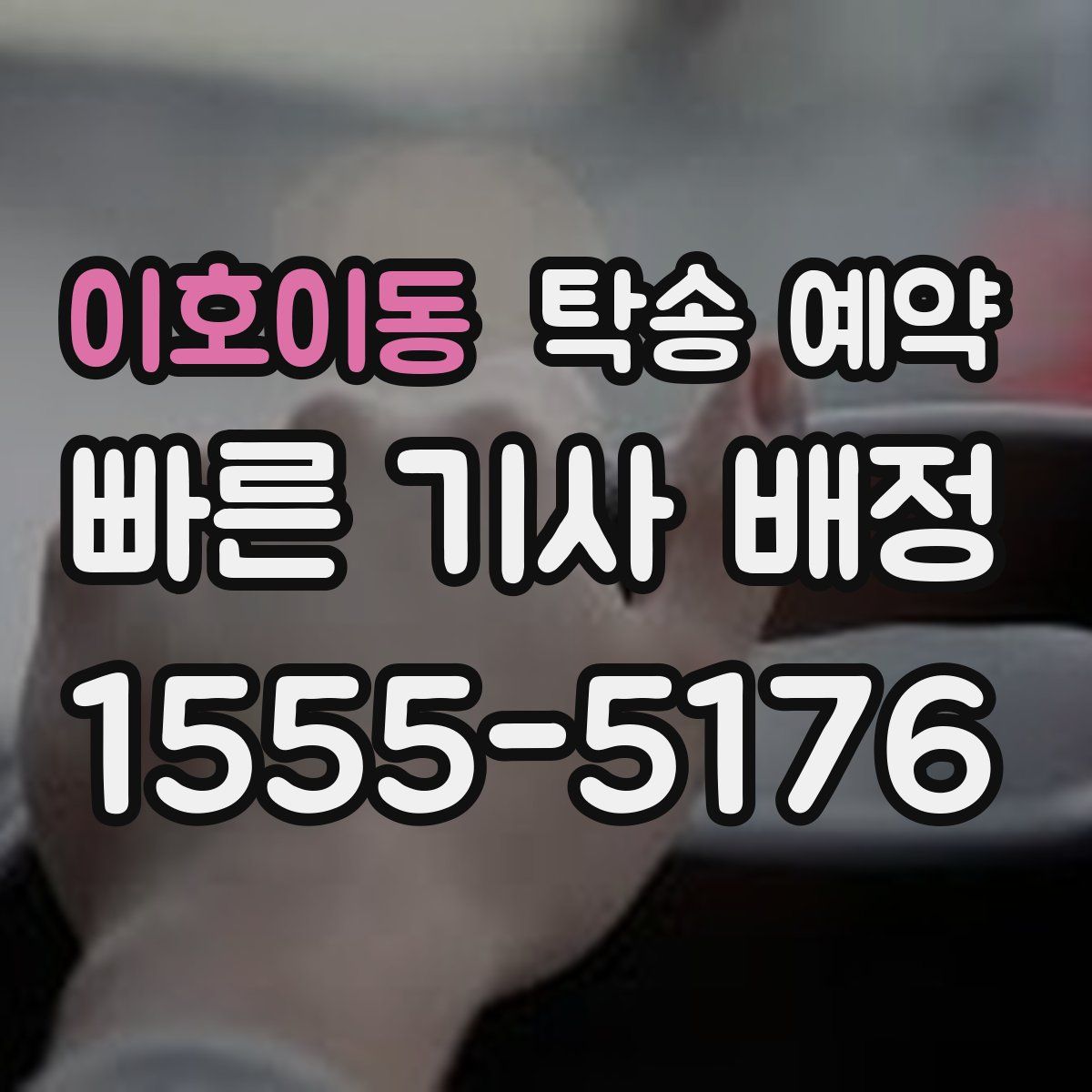 이호이동 탁송 예약