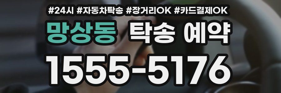 망상동 탁송 예약