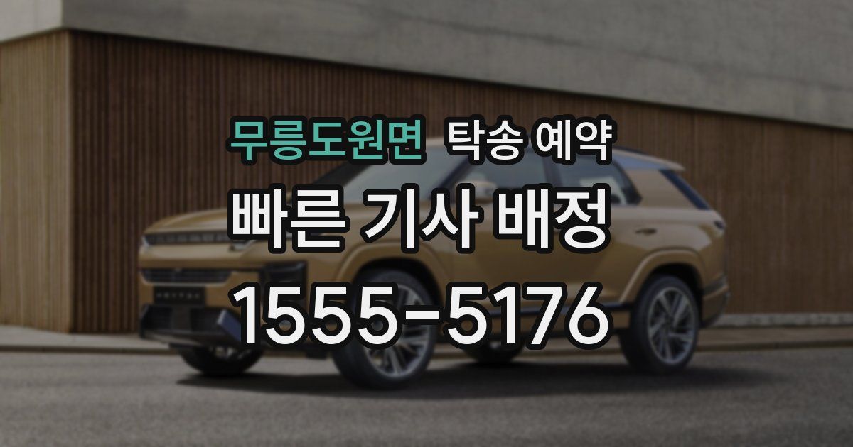 무릉도원면 탁송 예약