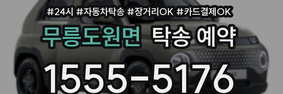 무릉도원면 탁송 예약