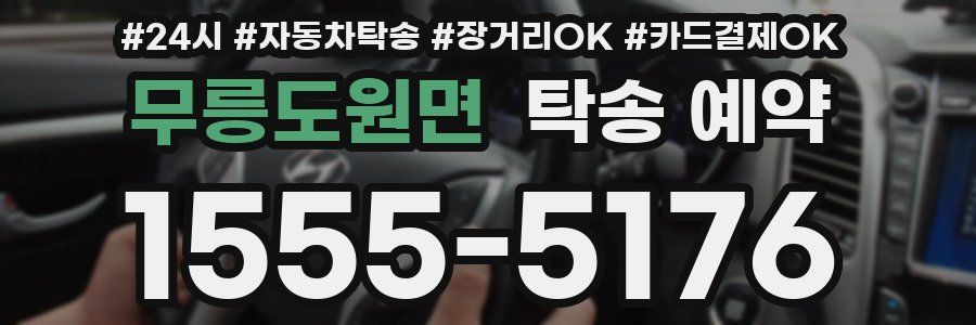 무릉도원면 탁송 예약