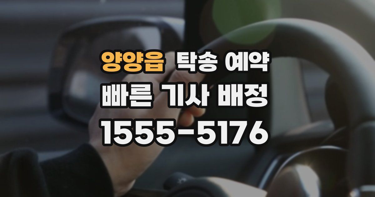 양양읍 탁송 예약