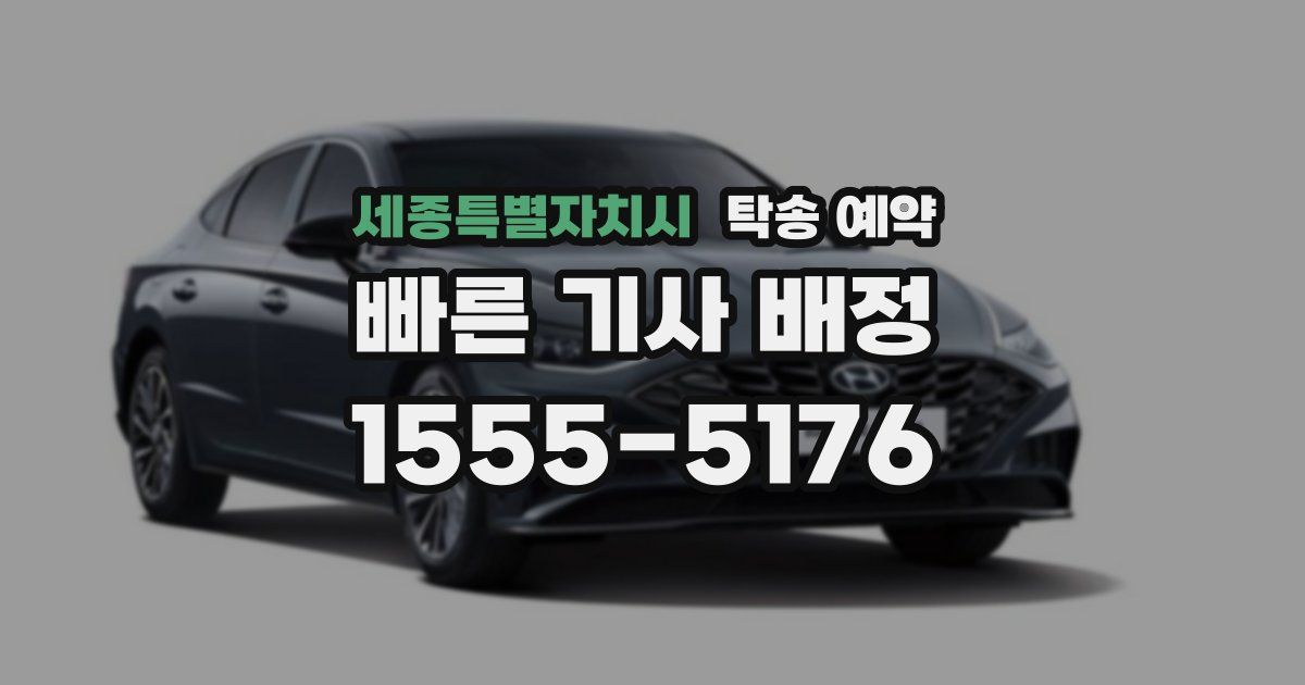세종특별자치시 탁송 예약