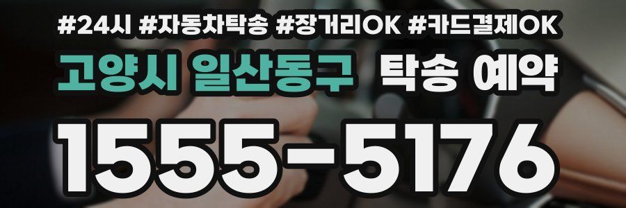 고양시 일산동구 탁송 예약