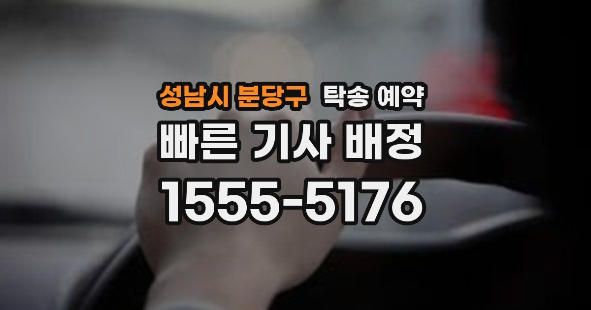 성남시 분당구 탁송 예약