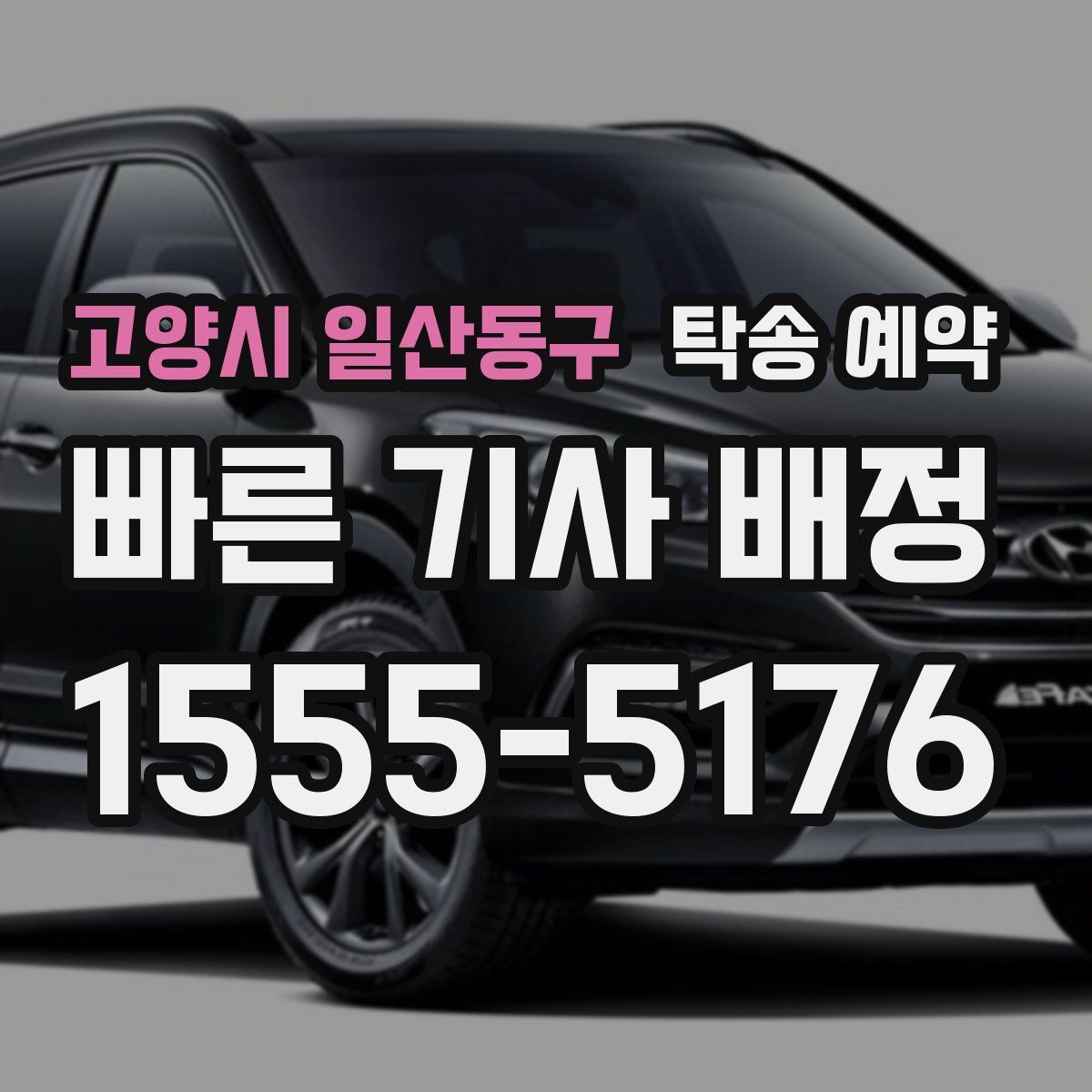 고양시 일산동구 탁송 예약