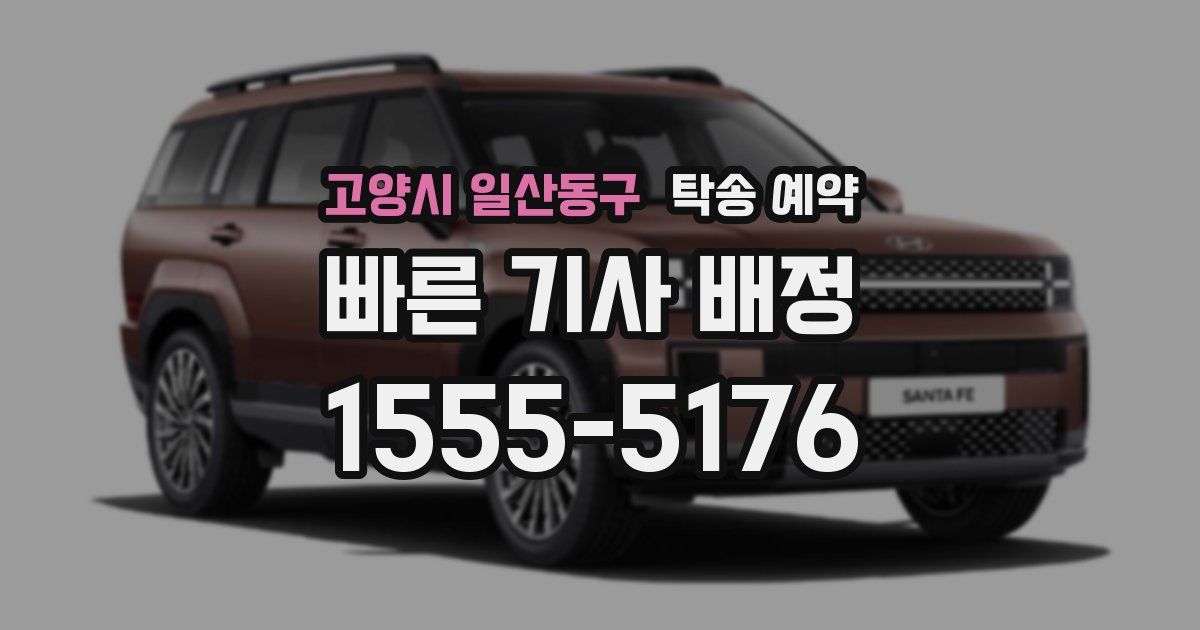 고양시 일산동구 탁송 예약