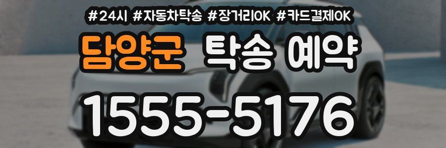 담양군 탁송 예약