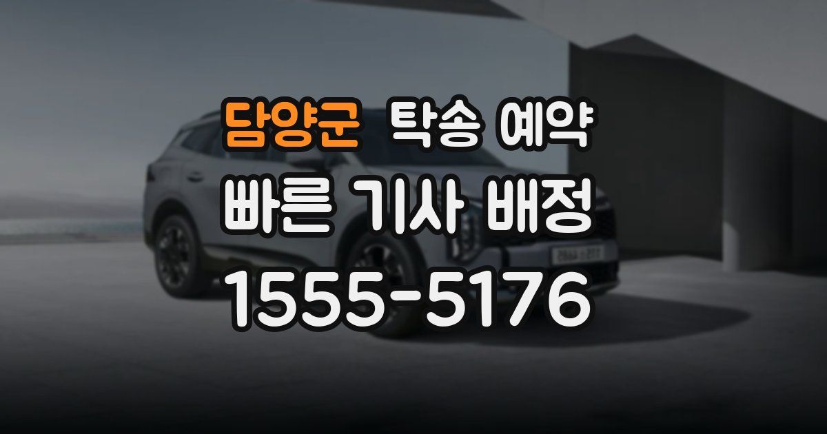 담양군 탁송 예약