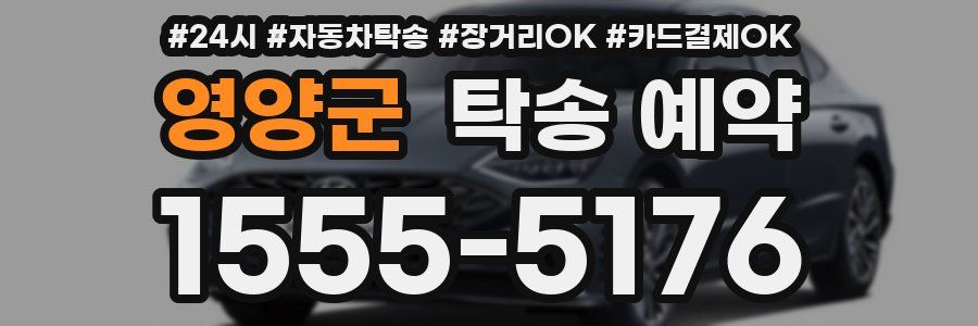 영양군 탁송 예약