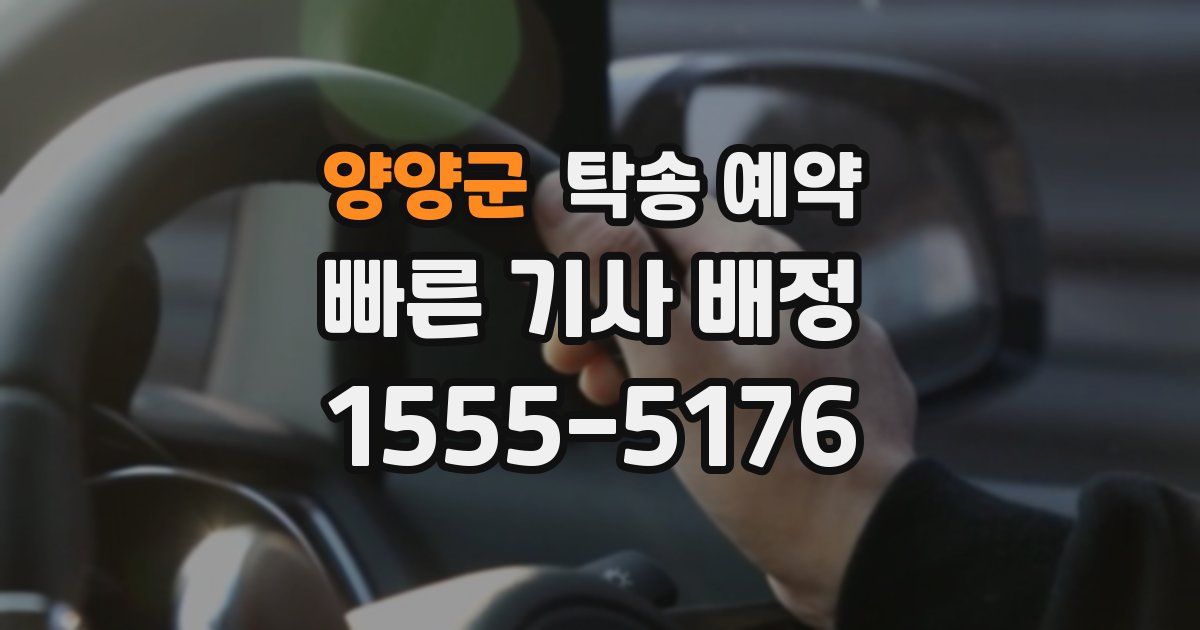 양양군 탁송 예약