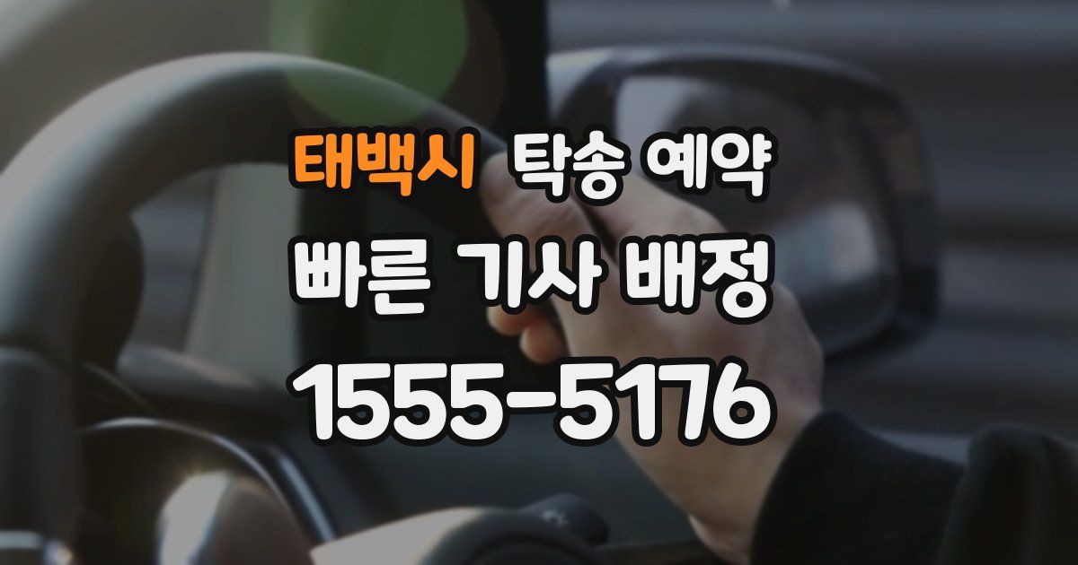 태백시 탁송 예약