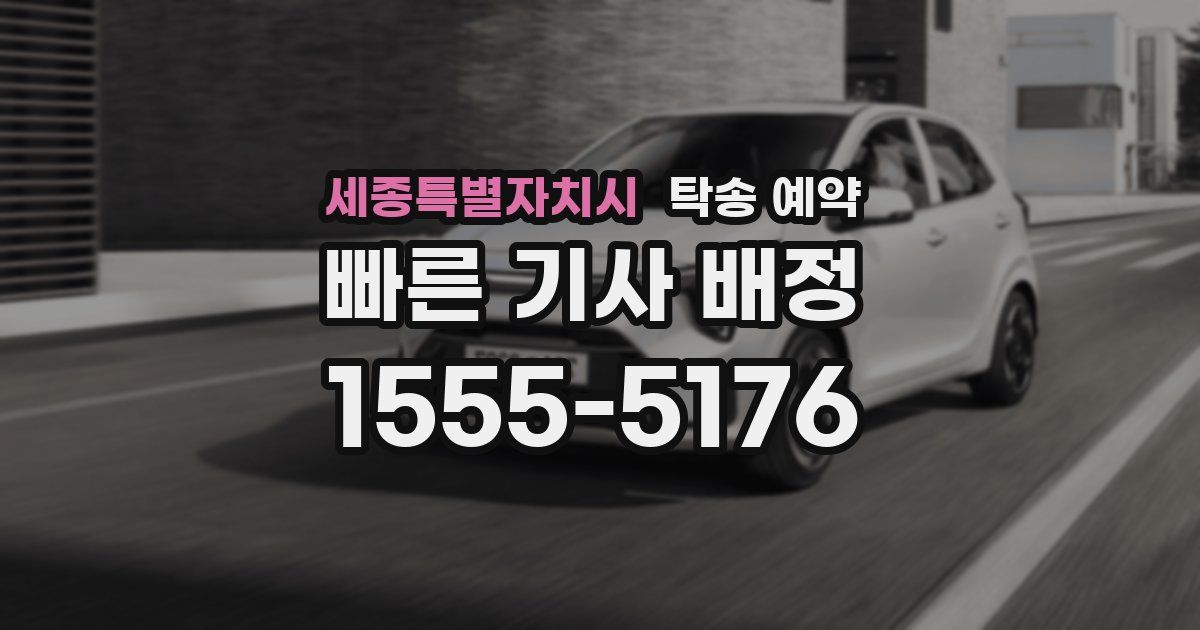 세종특별자치시 탁송 예약